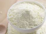 WHOLE MILK POWDER - фото 2