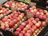 Яблоки из Польши - фото 5