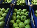 Яблоки из Польши!!! - фото 1