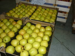 Яблоки от польского производитеоя