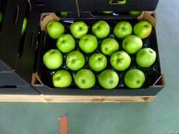 Яблоки из Польши!!!