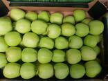 ЯБЛОКО ГОЛДЕН - фото 2