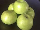 Яблоко закупка - фото 2