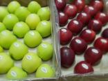 Яблоко закупка - фото 3