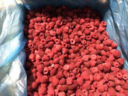 Закупаем малину замороженную разные сорта, оптом от 20 тон.