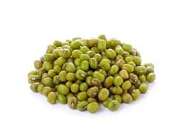 Green Mung bean from Uzbekistan