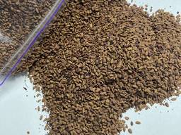 Жмых бузины черной // Wytłoki bzu czarnego // Elderberry Pomace - 15 TON