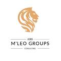 MLeo Groups, Sp. z o.o.