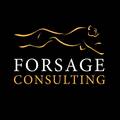 Forsage Consulting, Sp. z o.o.